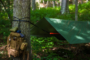 MOLLE backpack and hammock in the woods