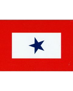 Blue Star Flag