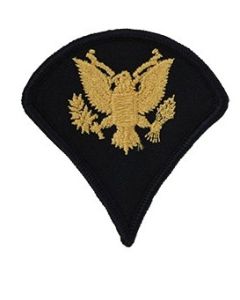 Enlisted Dress Blue Rank Specialist