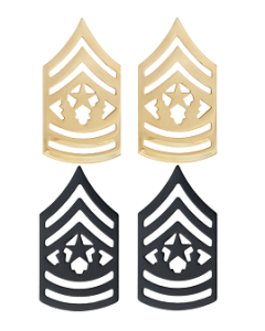Command Sergeant Major Army Rank