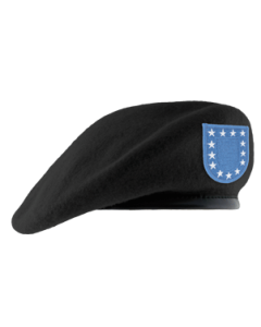 US Military Wool Black Beret with Flash