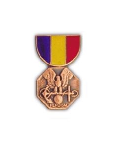 Navy Marine Corps Medal Hat Pin