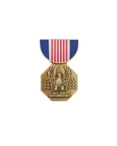 Soldiers Medal Hat Pin