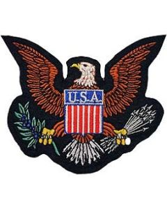 USA Eagle Logo Patch