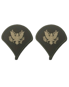 AGSU Chevron - Specialist E-4