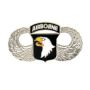101st Airborne Division Wings Pin