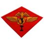 1st Airwing Patch