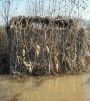 Camo Systems 8ft x 20ft Specialist Series Digital Camo Netting