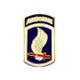 173 Airborne Division Pin