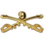 9th Cavalry Swords Pin