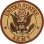 U.S. Army Desert Patch