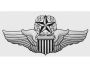 Air Force Command Pilot Wings Decal