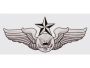 US Air Force Enlisted Senior Aircrew Badge 5.5