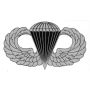 Large Jump Wings Decal