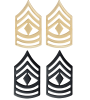 First Sergeant US Army Rank