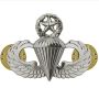 Master Parachutist Badge 