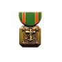 Navy Achievement Medal Hat Pin