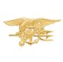 Navy Seal Special Warfare Trident Insignia