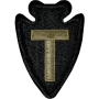 36th Infantry Division Scorpion OCP Patch w/ Fastener