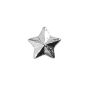 Silver Star Ribbon Device 5/16
